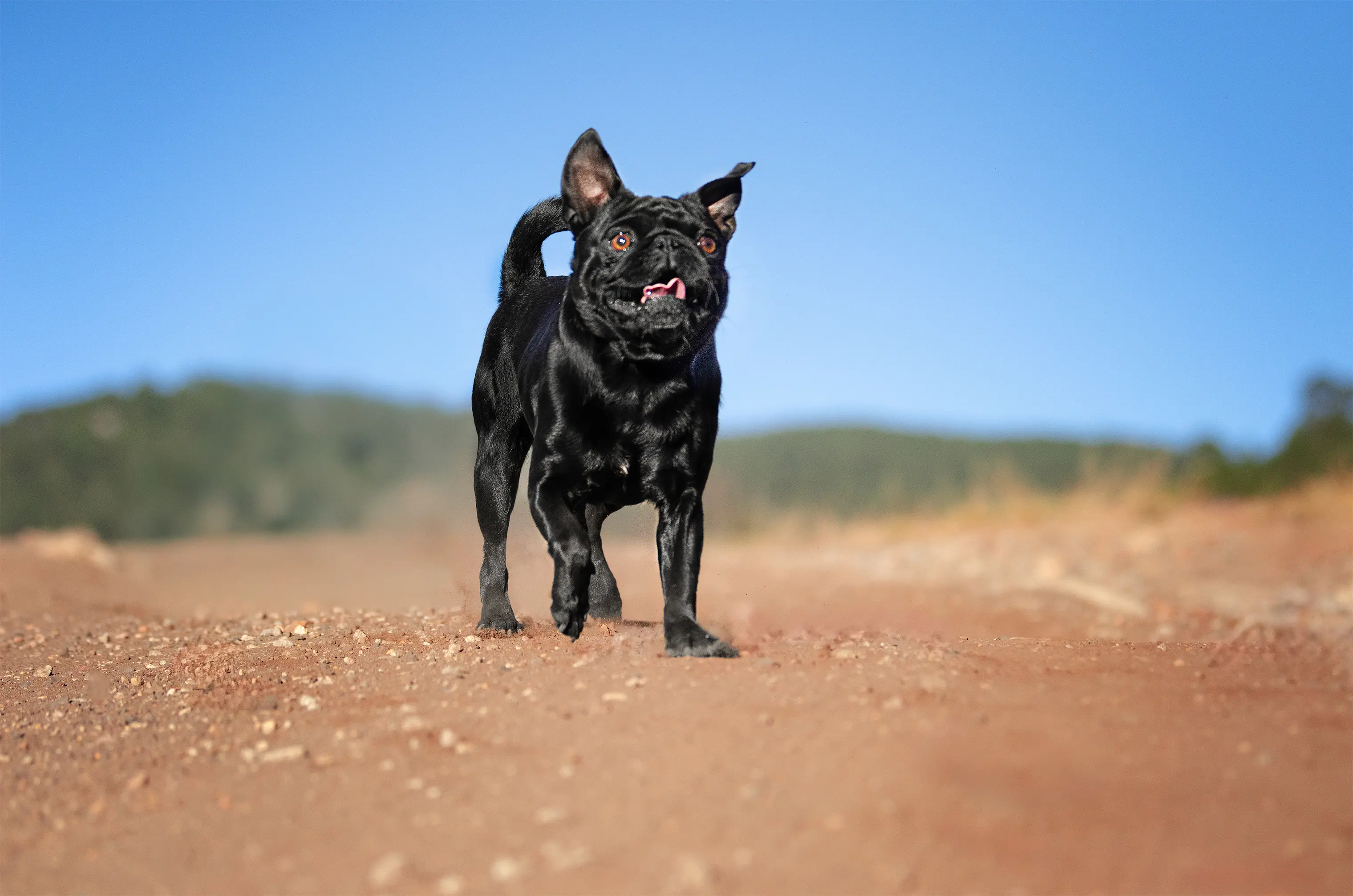 Primera Aventura — sesión para tutores primerizos